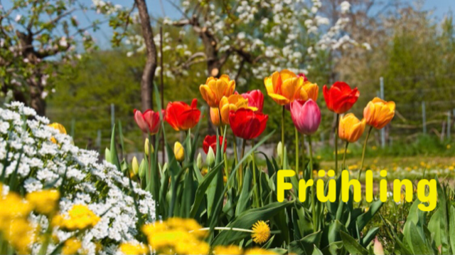 Frühling